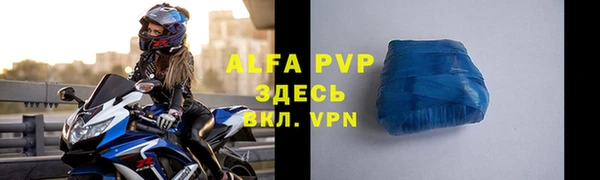 СК Коряжма