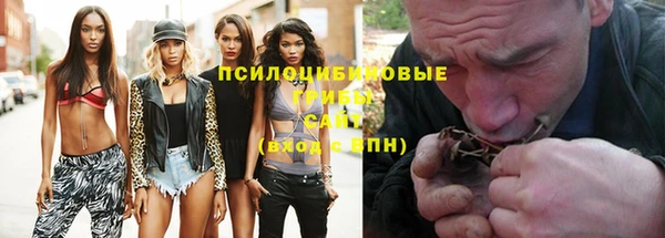 мдма Краснослободск