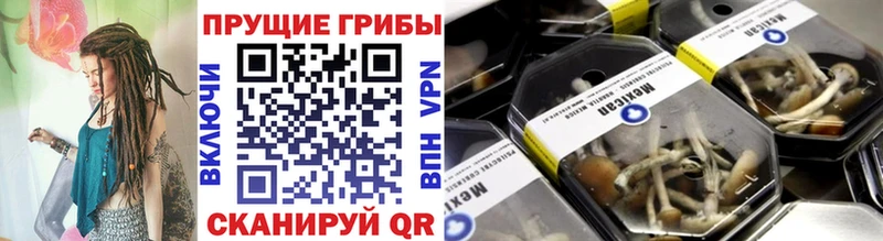 Галлюциногенные грибы прущие грибы гидра ссылки Владимир