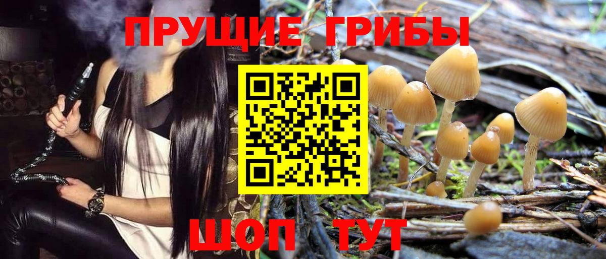 Псилоцибиновые грибы ЛСД Владимир