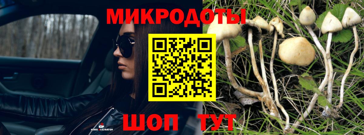 Псилоцибиновые грибы прущие грибы  Вход с VPN  Галлюциногенные грибы мухоморы  Владимир 